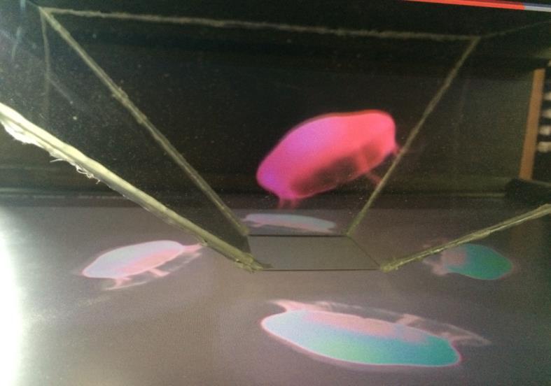 Obrázek 5: Výsledný 3D obraz 5 ZÁVĚR Práce na projektu 3D projektoru hologramu mi přinesla mnoho zajímavých poznatků, zejména z oblasti optiky a optických iluzí propojené s historií divadelních triků.