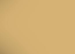 r o ma t r let e já d ac LAMELOVÉ ROŠTY na český značkový nábytek ORION ANCHA VISCO Luxusní pevný lamelový rošt s 28 bukovými lamelami šíře 38 mm.