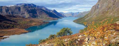 Letecký zájezd do Norska vám v průběhu pár dní umožní poznat téměř všechny krásy této jedinečné severské země. Můžete očekávat pohodový poznávací program s nenáročnými vycházkami do přírody.
