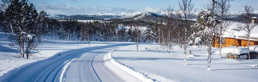 Celková délka upravovaných sjezdových tratí je 52 km, 30 tratí je osvětlených. Pro běžkaře je Ylläs rájem na zemi 300 km upravovaných tratí nemá konkurenci.