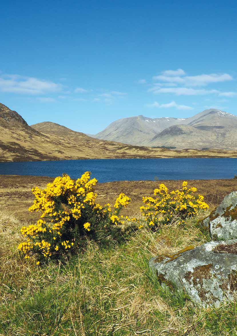 Oblast Rannoch Moor foto: