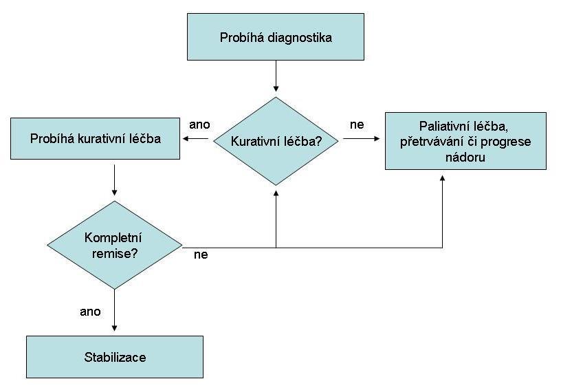 Průběh onkologické léčby a pracovní schopnost onkologického pacienta Hodnoceno jako těžké postižení (osa 2) Hodnoceno jako