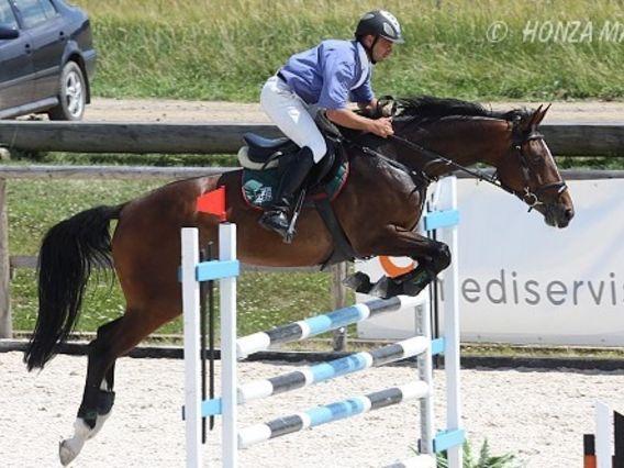 2005 u chovatele a jejího současného jezdce Rudolfa Doležala v Chrudimi. Majitelem je pan Oldřich Staňa z Brna Šlapanic. Otcem klisny je holštýnský hřebec 535 Latinus.