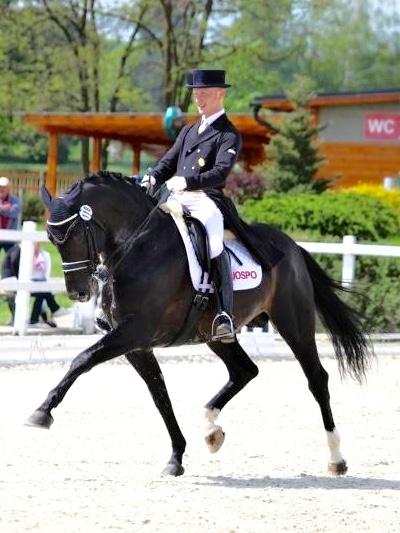 Berenis patří velké ocenění za to, že jejím jezdcem není jezdec profesionál, ale juniorka Anežka Lexová, se kterou startovala již v roce 2012 jako 15- ti letou v maďarském Dunakeszi - Alag.