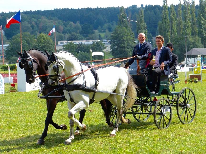 70/605 Linda po 2247 Karneol Jičínský, chovatel: Coufalík Václav, Lipník n. Bečvou a majitel: Coufalíková Jana, Slavíč 41, Hranice VII Úspěchy V.