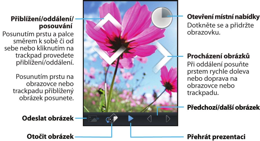 Média Obrázky Jak na to: Obrázky Rychlé seznámení s obrázky Přiblížení či oddálení, posunutí nebo otočení obrázku U obrázku proveďte jednu z následujících akcí: Chcete-li obrázek přiblížit, dotkněte