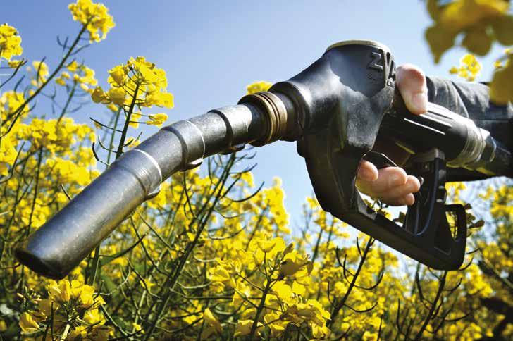 Biopaliva DESET LET NA TRHU POHONNÝCH HMOT V září letošního roku uplyne již deset let od okamžiku, co se na trhu ve standardní motorové naftě dle ČSN EN 589 objevila biopaliva, konkrétně methylestery