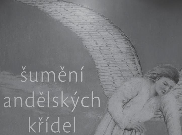 Nalezneme zde obrazy, sochy, kresby, ale i multimediální tvorbu. V katalogu již vyprodaném, se kurátorky výstavy zmiňují o tom, kdo jsou andělé.