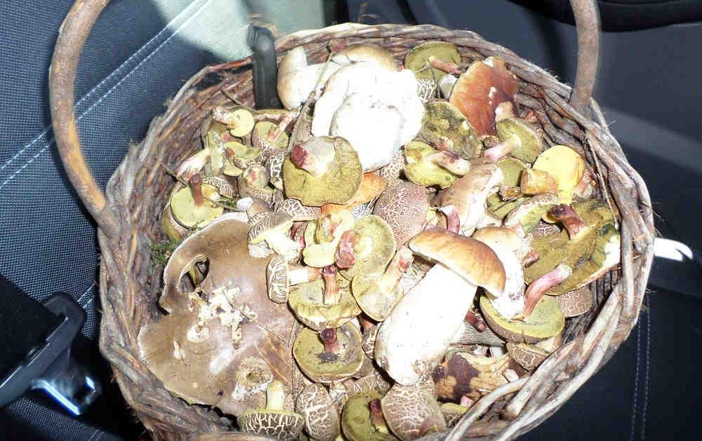 V Základní škole Okružní otevřeli jednu třídu pro předškoláky (9 dětí), kteří tím i uvolnili školku pro další děti. Skvělý nápad.