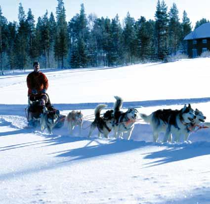 [FIR ] Zimní dobrodružství na polárním kruhu letecké víkendy > FINSKO Vydejte se s námi na výlet do finské divočiny v oblasti Rovaniemi. Tady přímo na Polárním kruhu má zima své neobyčejné kouzlo.