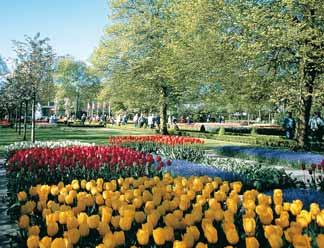 den: účast na květinovém korzu, přehlídce alegorických vozů zdobených květinami. Hlavní a korunovační město Amsterdam, prohlídka.