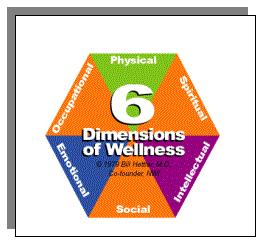2.3.8 Rozměry wellness Wellness je vícerozměrný stav bytí popisující existenci pozitivního zdraví v individuální kvalitě života jedince a pocitu cítění se dobře (well). (http://definitionofwellness.