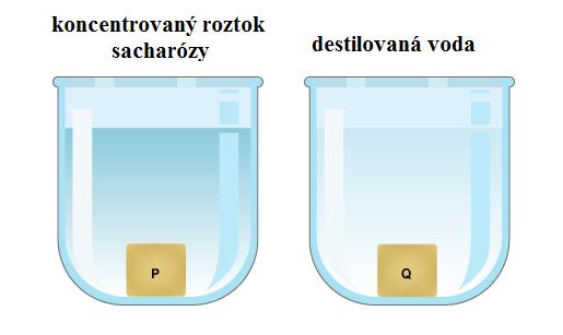 Úloha 4 Kúsky zemiaka vložte do pripravených roztokov na 10 minút. Po 10 minútach kúsky zemiaka vyberte z roztokov a dôkladne osušte. Opäť vzorky zemiaka odvážte na digitálnych váhach.