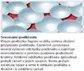 2 mm 10,00 Mirelon 3 mm Podložka z pěnového polyetylénu pod laminátové a dřevěné podlahy š. 110 cm / tl. 3 mm 14,00 Mirelon 5 mm Podložka z pěnového polyetylénu pod laminátové a dřevěné podlahy š.