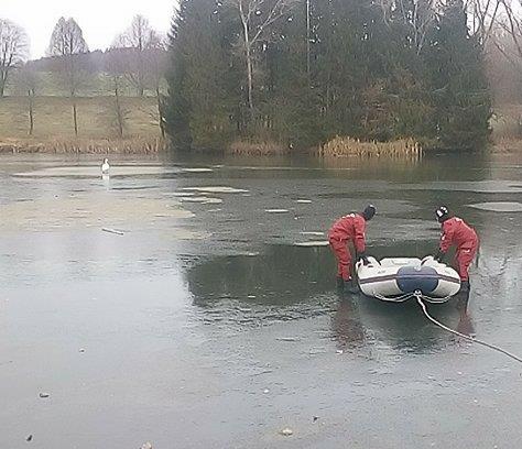 DOPISOVATELÉ Ošetřovatelé vlašimské záchranné stanice pro zvířata řešili první případ přimrzlé labutě této zimy. Tisková zpráva ze dne 2. 12. 2016.