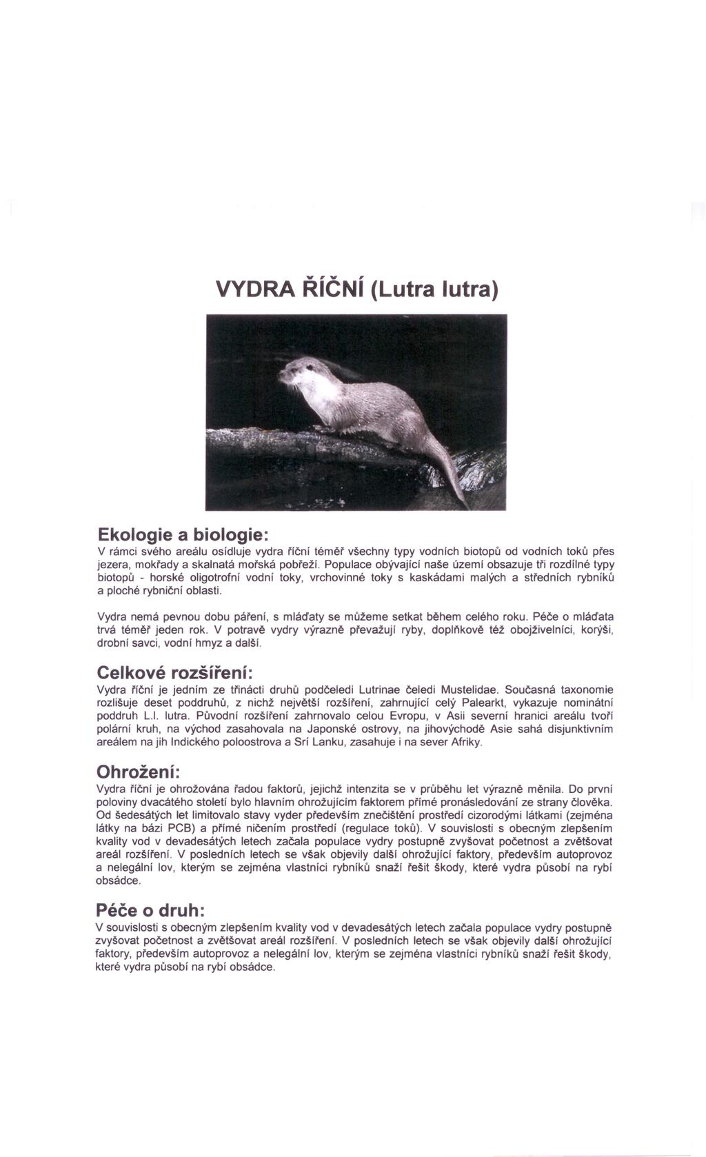 VYDRA ŘíČNí (Lutra lutra) Ekologie a biologie: v rámci svého areálu osídluje vydra říční téměř všechny typy vodních biotopů od vodních toků přes jezera, mokřady a skalnatá mořská pobřeží.