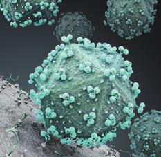 generovaným z atmosférického vzduchu. Prokázali, že inaktivace bakterií způsobená nízkoteplotním plazmatem má dva aspekty, biologický a fyzikální. Nízké dávky plazmatu, tj.
