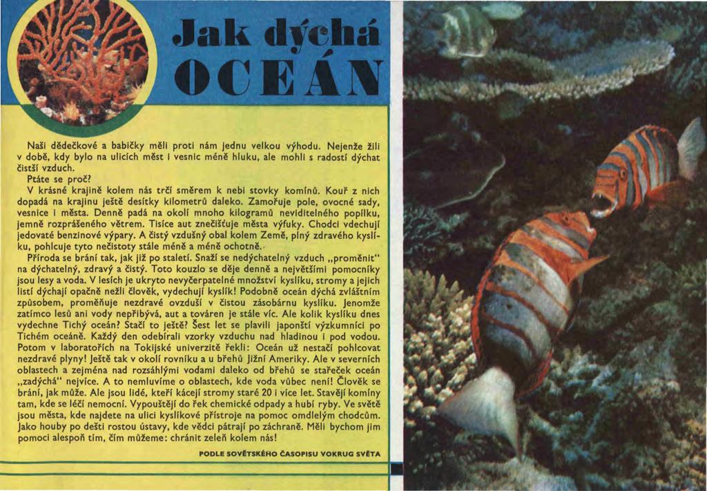 Naši dědečkové a babičky měli proti nám jednu velkou výhodu. Nejenže žili v době, kdy bylo na ulidch měst i vesnic méně hluku, ale mohli s radostí dýchat čistší vzduch. Ptáte se proč?