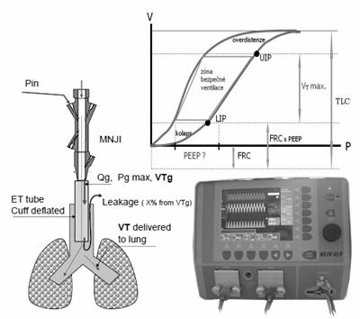 Prednášky sekcia 6 V rámci této práce byly sledovány vybrané vlastnosti experimentálních membrán, určených primárně pro alkalickou elektrolýzu vody: iontová vodivost, iontově výměnná kapacita a