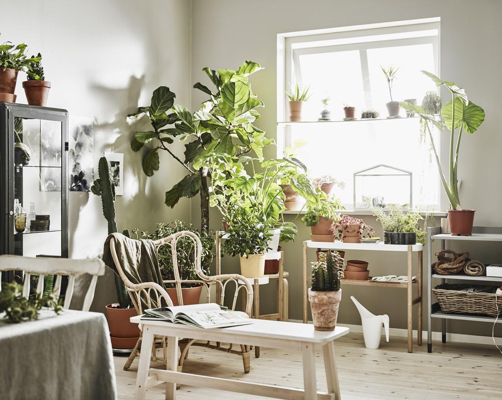 Zkuste být kreativní Pro nás v IKEA jsou rostliny přirozenou součástí všech interiérů. Každé místnosti dodají barvu, tvar a život.