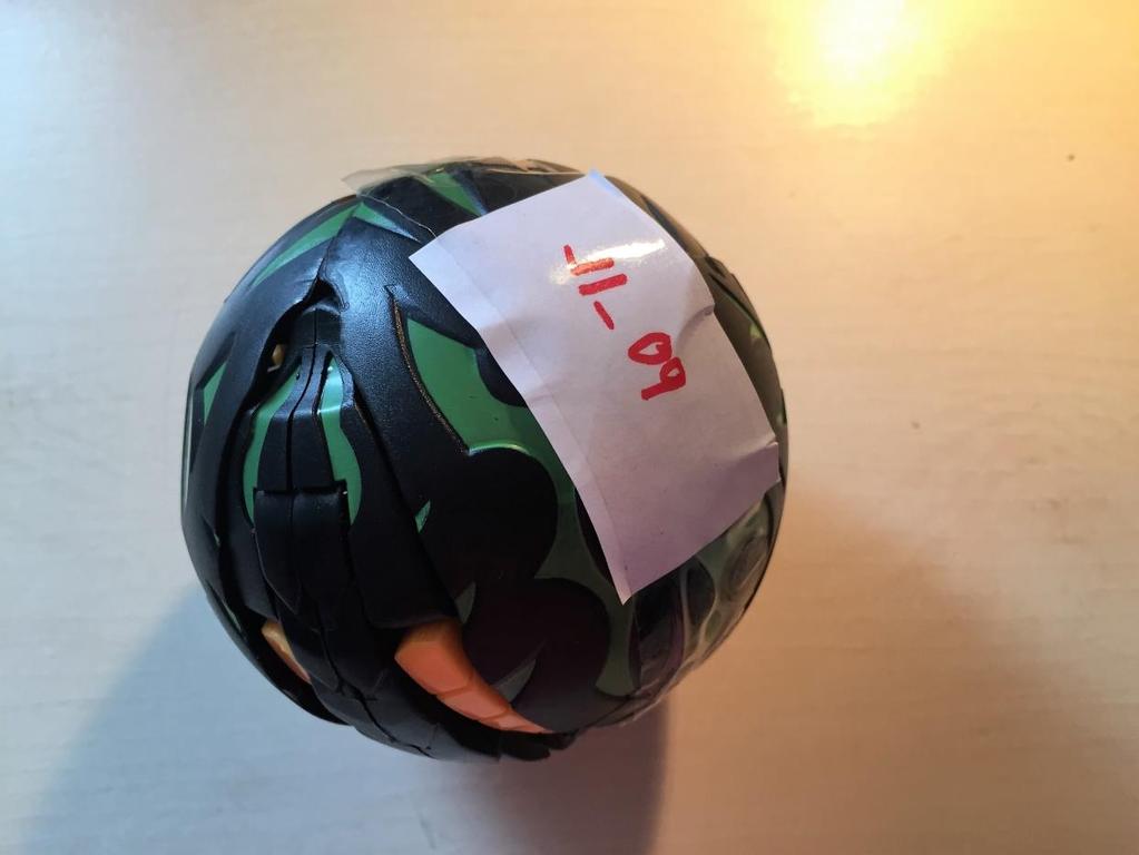 Příloha 1: