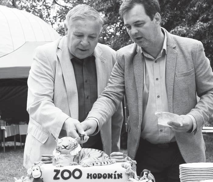 ZOO HODONÍN První mláďata plameňáků růžových v hodonínské zoo lik desítek tisíc kusů. Hejno plameňáků v hodonínské zoo aktuálně čítá celkem 24 dospělých jedinců.