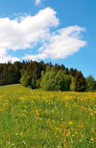 Proto podnik pokryje svou potřebu energie ze 70 % z ekologické elektřiny a trvale tento podíl rozvíjí.