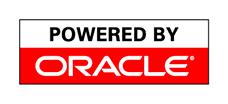 Využití produktu Oracle Portal Vyhledávání v heterogenním prostředí Samostatné řešení na bázi technologie Oracle Návrh řešení: data