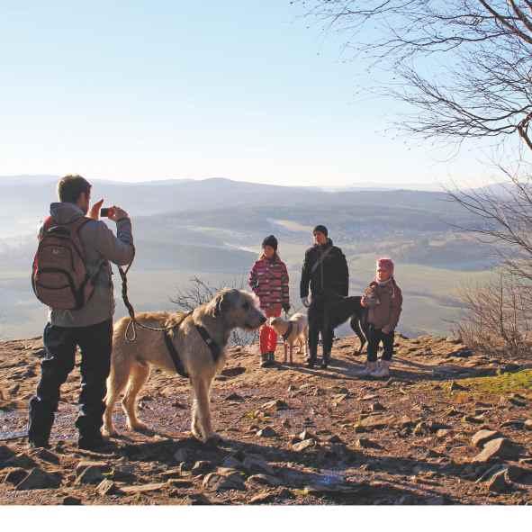 Felbabka 450 PP Na Horách Zelený Mlýn Hejdov 400 Na Rovinách Rejkovice Na valech Chramostův Mlýn Plešivec hradiště 500 Plešivec Čertova kazatelna 654 Plešivecké sedlo studánka Živá voda Nad Jezírkem