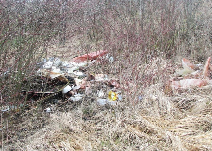 Na Vinohradech se zase donekonečna objevují stále nové navážené hromady odpadu.