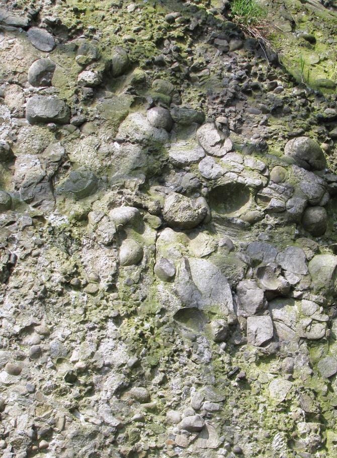 fylitem, kvarcitem nebo migmatitem), zhruba z třetiny horninami sedimentárními