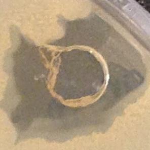 c[1mg/ml] Candida glabrata
