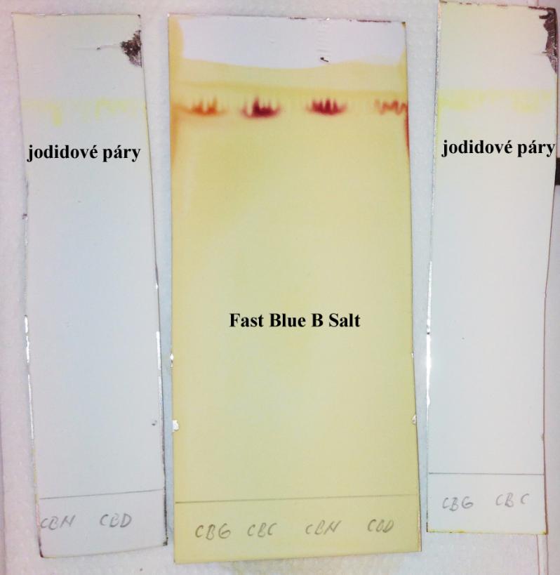 Obrázek 35: Využití vizualizace pomocí jodidových par a Fast Blue B Salt Výsledky dané analýzy lze vidět na Obrázek 35.