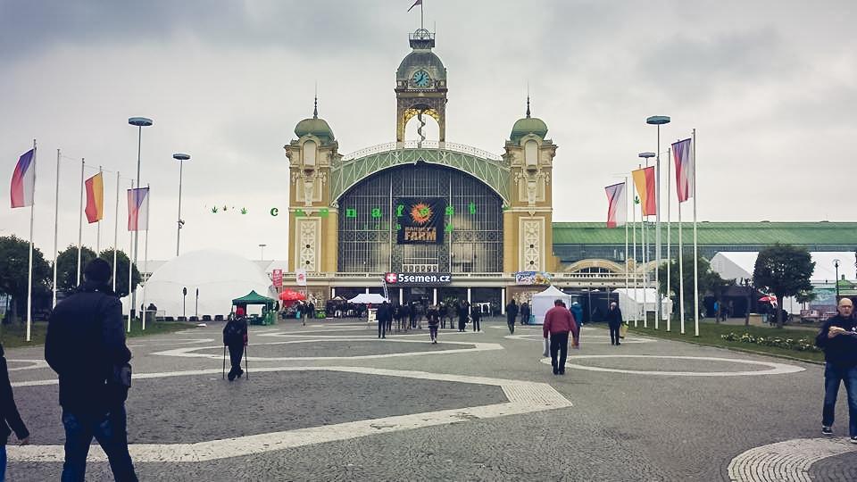 Cannafestu v Praze - získání