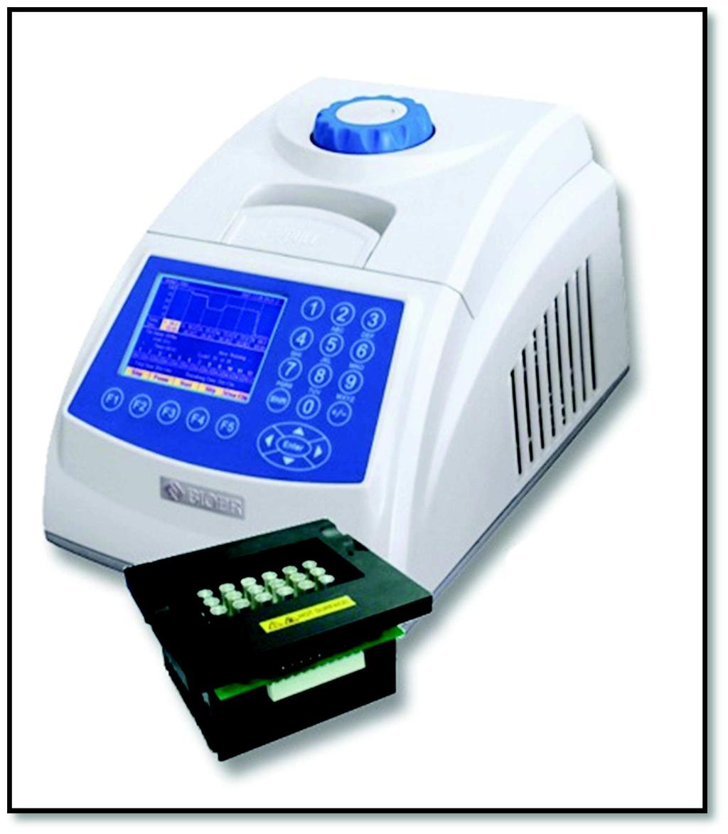 vzorky se umístí do cykleru, který je nastaven dle programu specifického pro dané stanovení (primer) Obrázek 5 Thermo cycler BIOER (upraveno 63 ) Detekce produktu PCR pomocí agarosové gelové