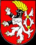 Zpráva o činnosti lokální síťařky: Mgr.