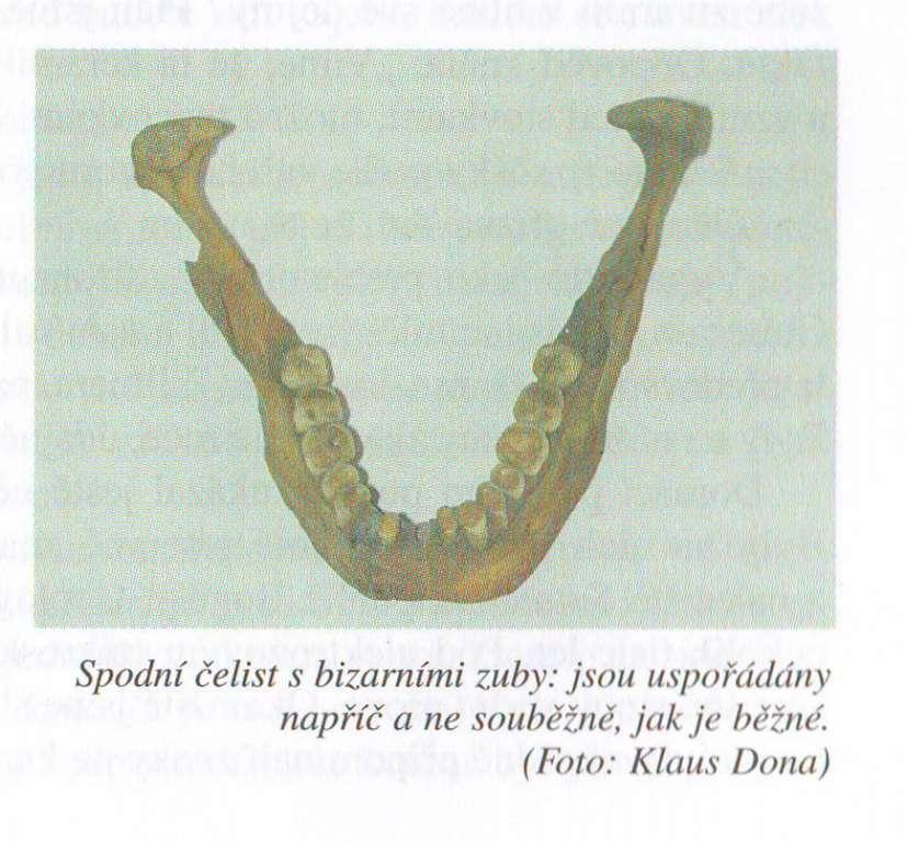 V hloubce osmi metrů nalezl profesor Gutierrez dvě lidské kostry, které podle provedené datace ležely na tomto místě 11 000 až 14 000 let.