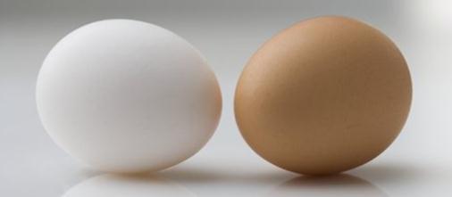 Bez teorie to nepůjde Co bylo dříve - slepice, nebo vejce?