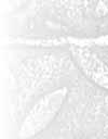 Rozsah 180 stran Formát 210 x 297 mm Vazba kroužková Cena 445 Kč Škůdci polních plodin Autor: Jan