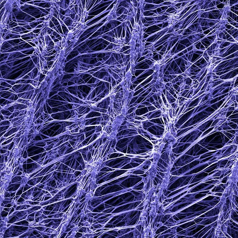 laboratoři elektronové mikroskopie místní pobočky