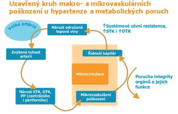 Fixní kombinace významně zlepší nejen účinnost, ale i adherenci a perzistenci pacienta k léčbě, a tím zlepší kontrolu AH u většího procenta léčených pacientů.