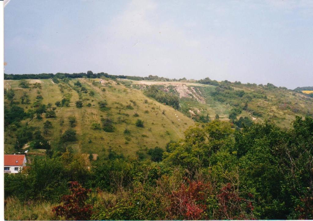 U VRBY 1993 Uzavření