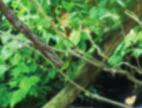 Vytvoříme-li digitálním fotoaparátem snímek o rozměrech 2 100 1 430 pixelů (tři megapixely) a barevné hloubce 24 bitů (tři