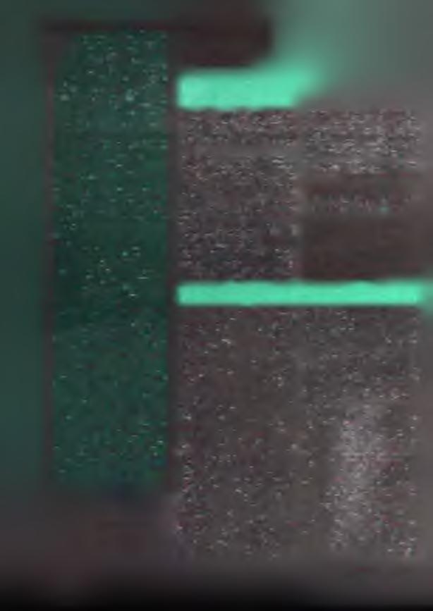 Letos se budou konat dvě mistrovství světa, a to ve skupinách M motorové modely a S plachetnice.