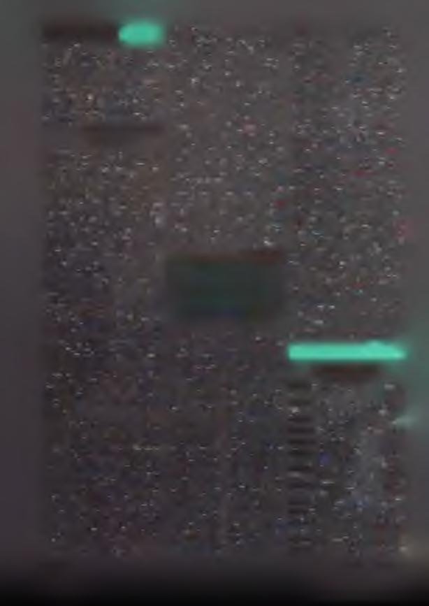 Jak to dělají JINDE (Dokončení ze str. 1) Diváci jsou za plotem, na ploše může být jen pilot s pomocníkem.