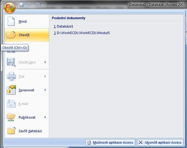 Office Access 2007 jsou stejně jako v jiných aplikacích sady Office Professional 2007 k dispozici dvě standardní funkce: přepínání zobrazení a Lupa.