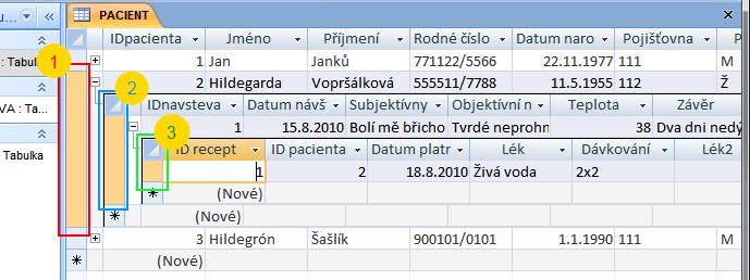 Zkusme se tedy teď podívat na to, jak vypadá naše tabulka PACIENT v datovém zobrazení, tedy zobrazeni kde budeme zadávat nová data.