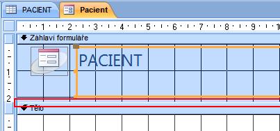 3) Návrh formuláře je rozdělen na tři části a. Záhlaví formuláře b. Tělo c. Zápatí formuláře Zkusíme změnit nadpis formuláře. Teď máme na formuláři slovo PACIENT. Změníme toto slovo na Karta pacienta.