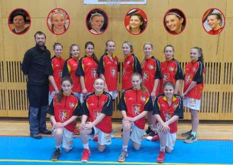 SOKOL ZVUS Strojírny Hradec Králové Družstvo Hradeckých Lvic 2004 trénuje spolu od roku 2014. Za tuto dobu vyhrálo MČR U11 a MČR U12.
