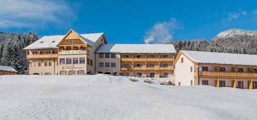 lyžování ve skiareálu Weißbriach / Gitschtal (v závislosti na provozu skiareálu) velmi pěkně a moderně zařízený hotel s profesionálním servisem delší vzdálenost od většího skiareálu Nassfeld částečně